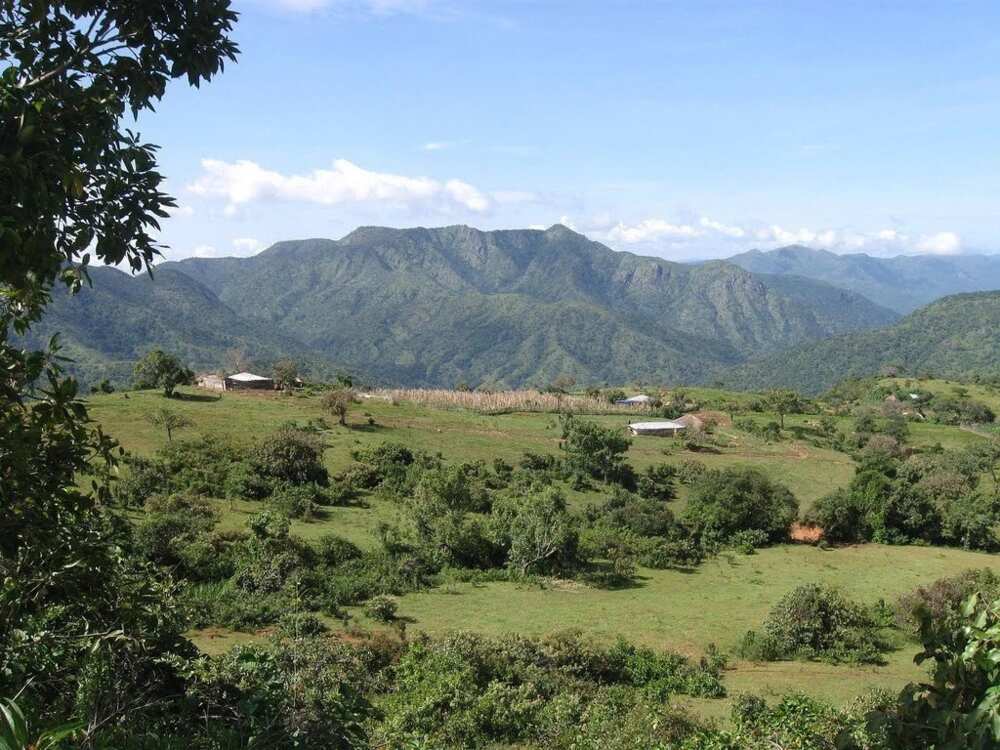 Kisan kare-dangi aka yi wa ‘Yan Fulani a Mambilla Inji Sojin Najeriya Kisan kare-dangi aka yi wa ‘Yan Fulani a Mambilla Inji Sojin Najeriya