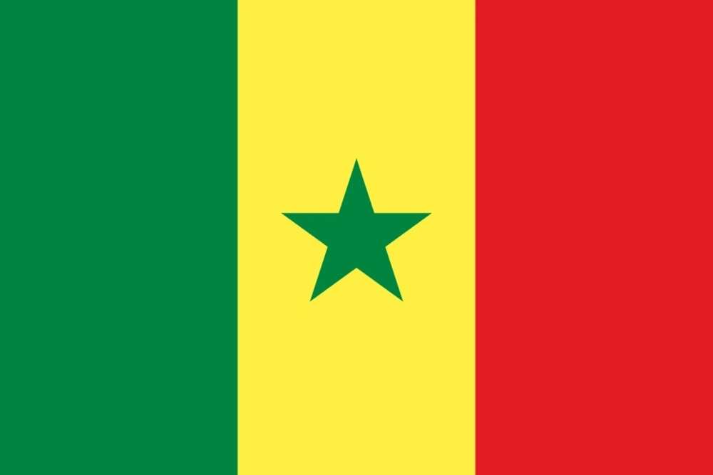 Flag of Senegal