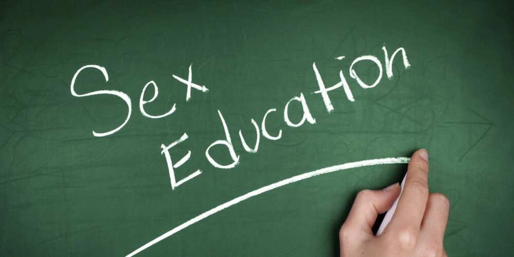 sex ed sex ed