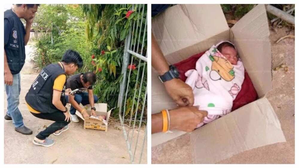 New born baby found dumped in a carton outside a house (photos)
