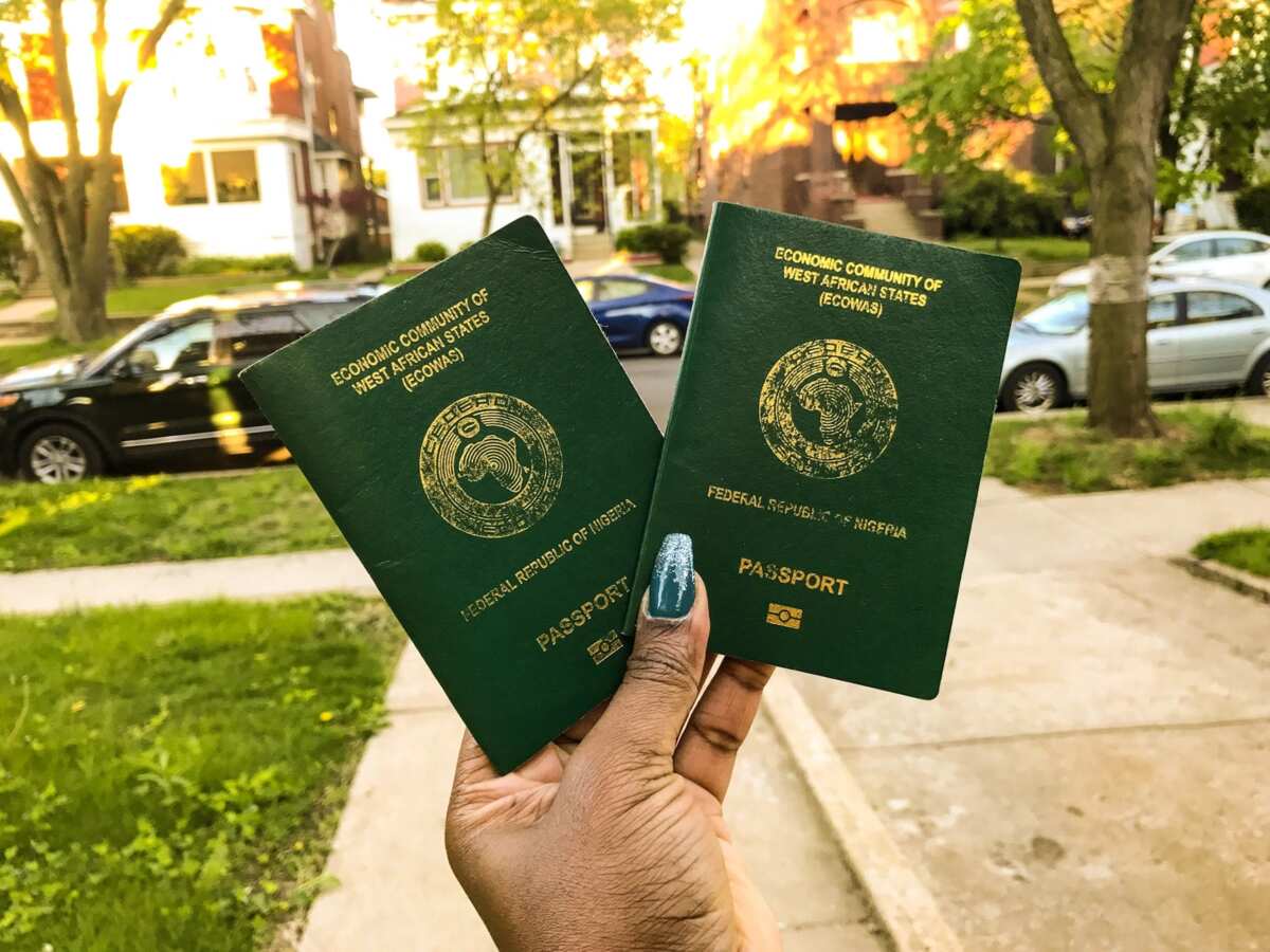 passport renewal fee passport renewal fee