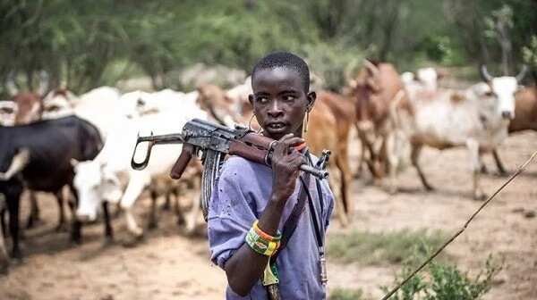 Herdsmen kill five farmers in Delta