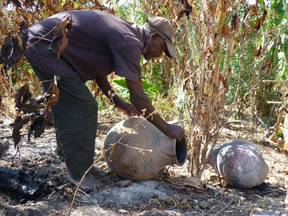 The gourd hive