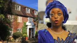 More troubles for Diezani as British government discovers N8bn property linked to her