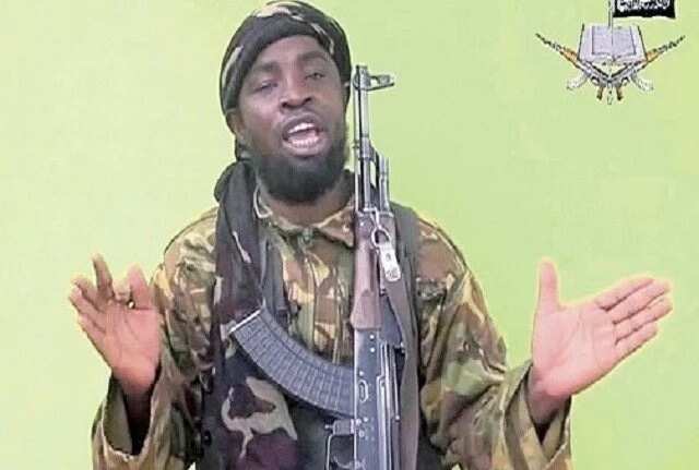 You are a coward! Nigerians react as Shekau reveals why UNIMAID was attacked