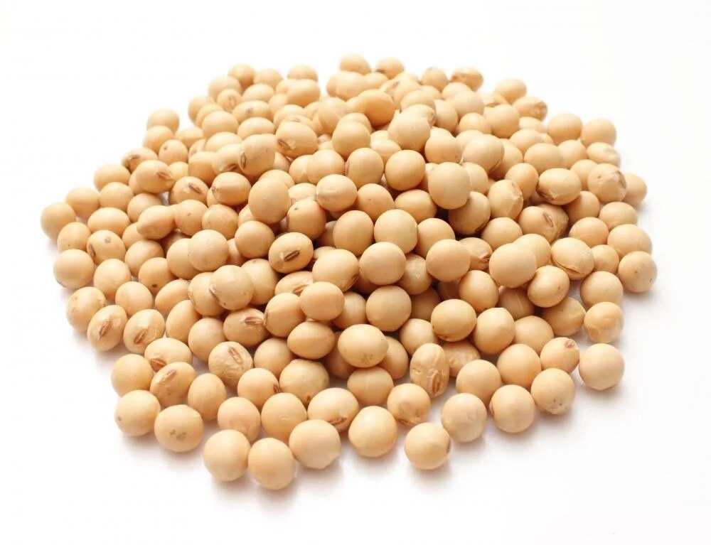Benefits of soya beans to babies