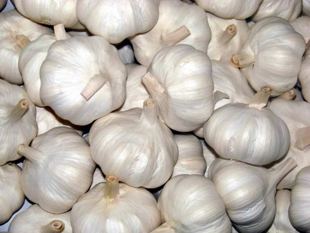 Garlic Garlic