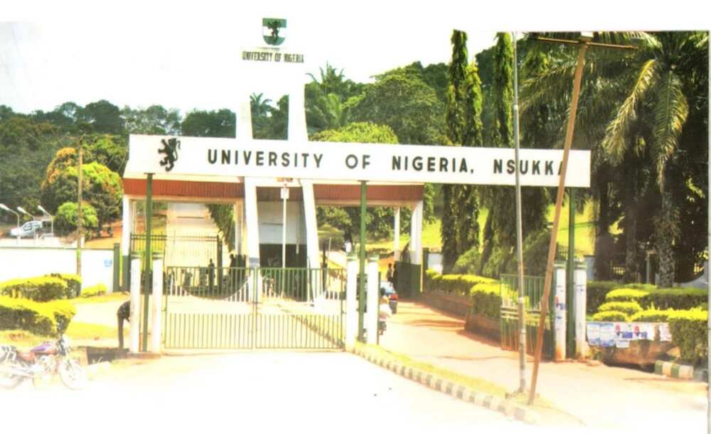 The University of Nigeria Nsukka