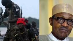 New Niger Delta militant group warns President Buhari over MEND