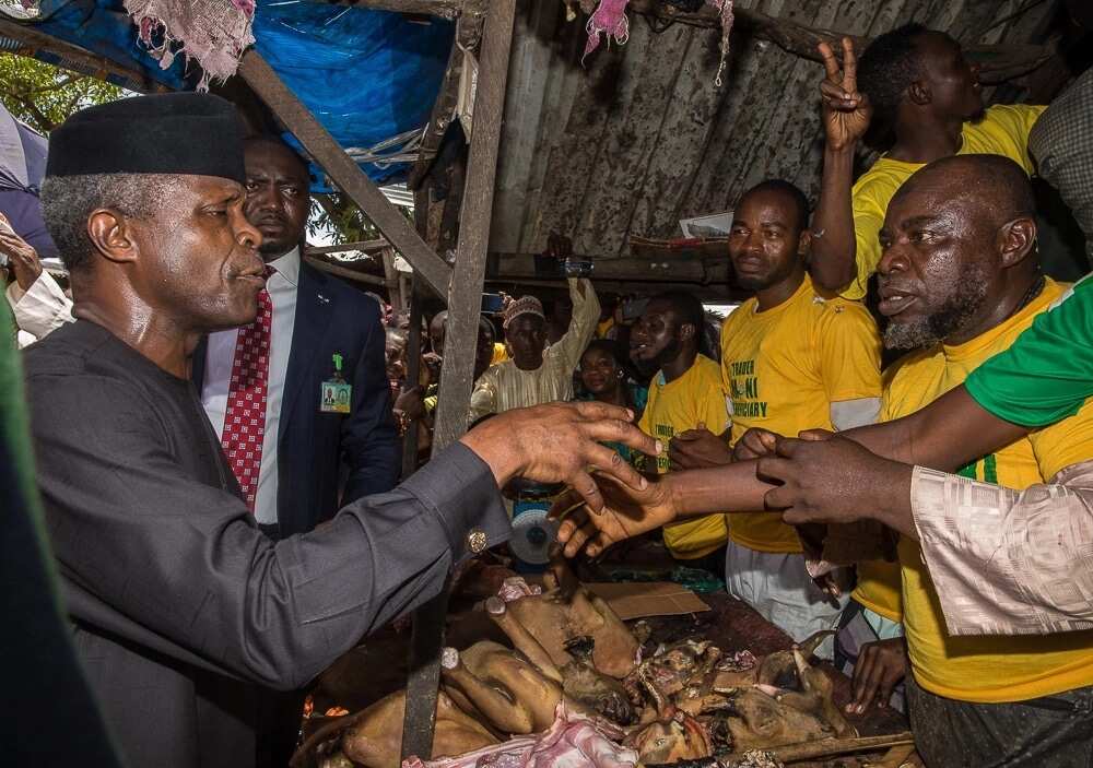 Ba zama: Hotunan ziyarar Osinbajo a kasuwar Nyanya (Abuja) da jaje a Zungeru (jihar Naija) Ba zama: Hotunan ziyarar Osinbajo a kasuwar Nyanya (Abuja) da jaje a Zungeru (jihar Naija)