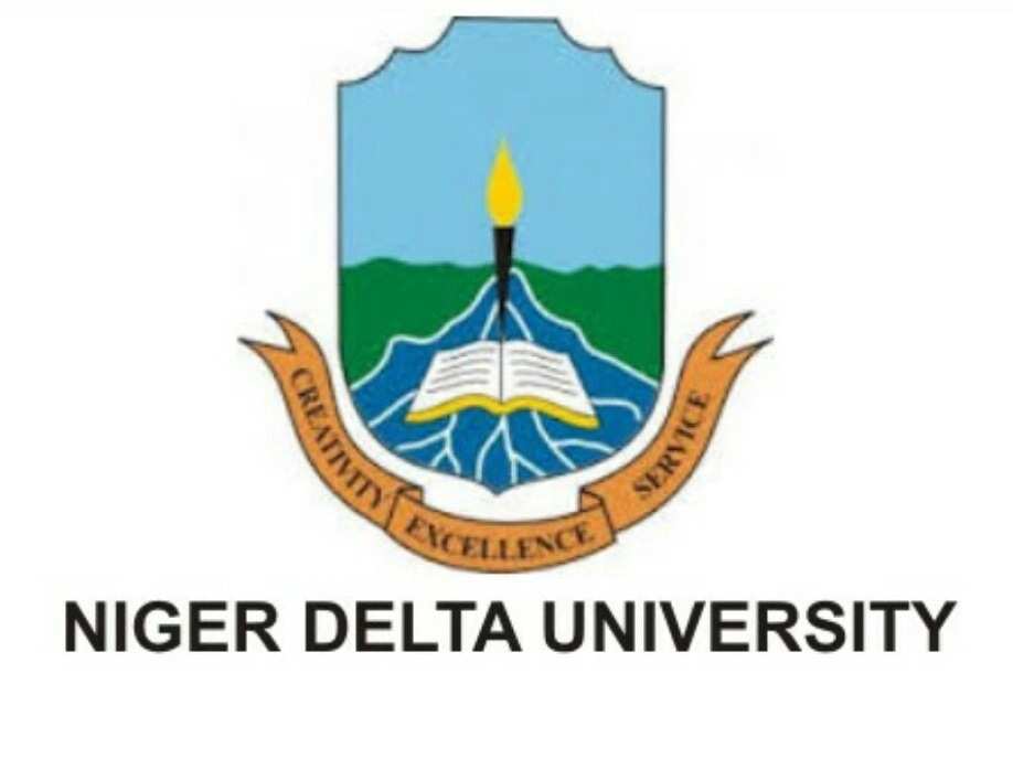 Niger delta university