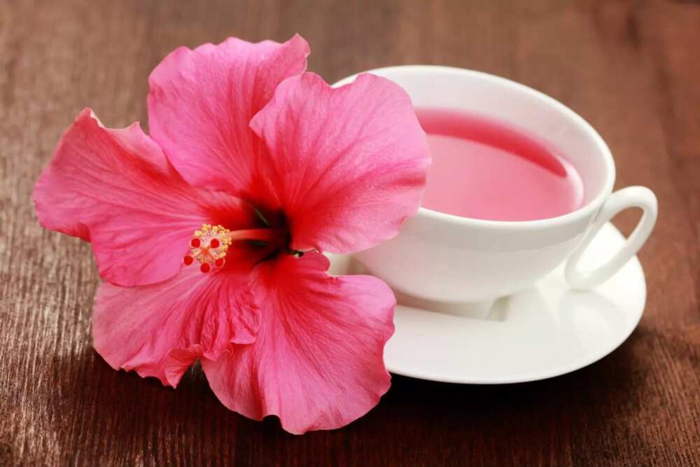 hibiscus tea