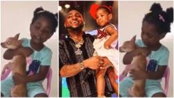 Most adorable video of Imade thanking her dad Davido for new dog, she named it Bubbles