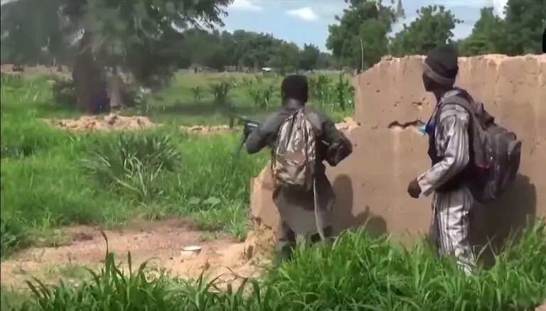 Boko Haram attacks firewood traders in Borno