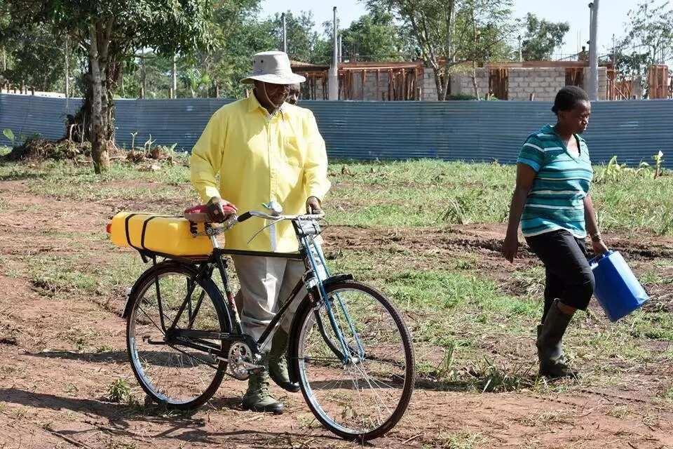Anga shugaban kasar Uganda yana diban ruwa zuwa gonarsa Anga shugaban kasar Uganda yana diban ruwa zuwa gonarsa
