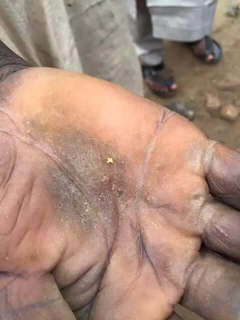 Photos: Gold discovered in Kano state?