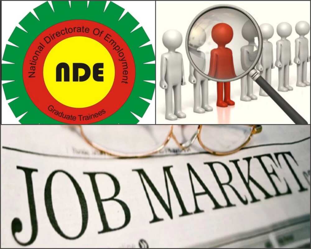 Roles and functions of National Directorate of Employment