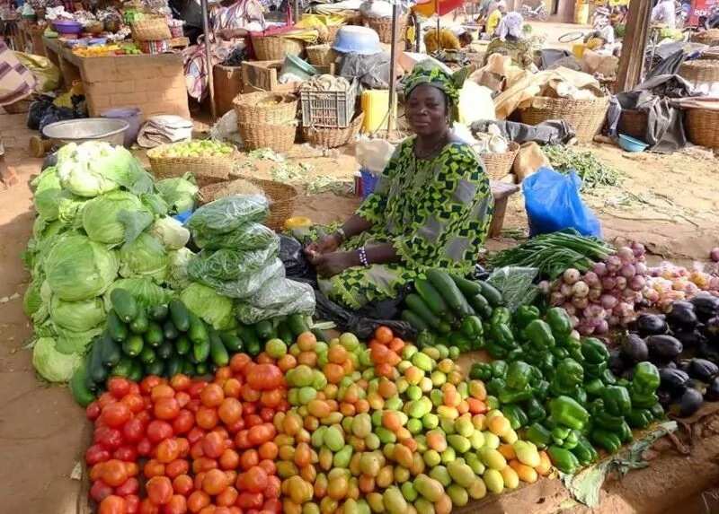Agriculture business in Nigeria