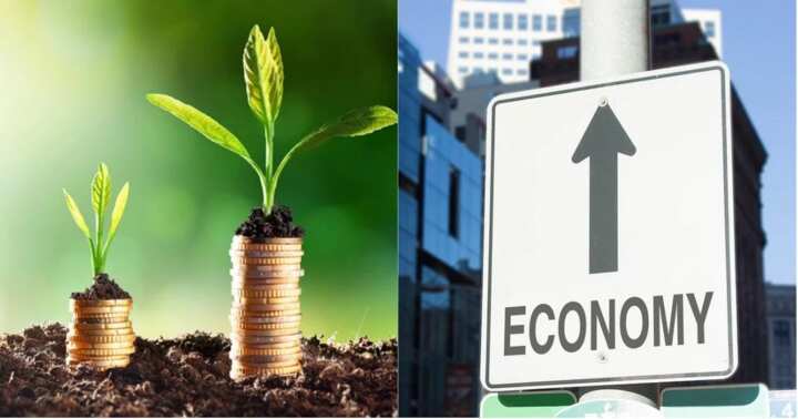 Top 10 indicators of economic development in a country - Legit.ng