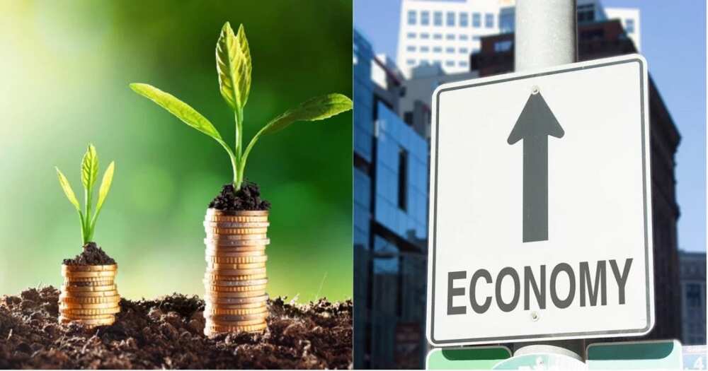 top-10-indicators-of-economic-development-in-a-country-legit-ng