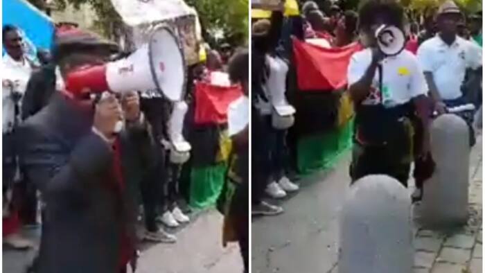 IPOB members storm British Embassy in Germany to protest (video)