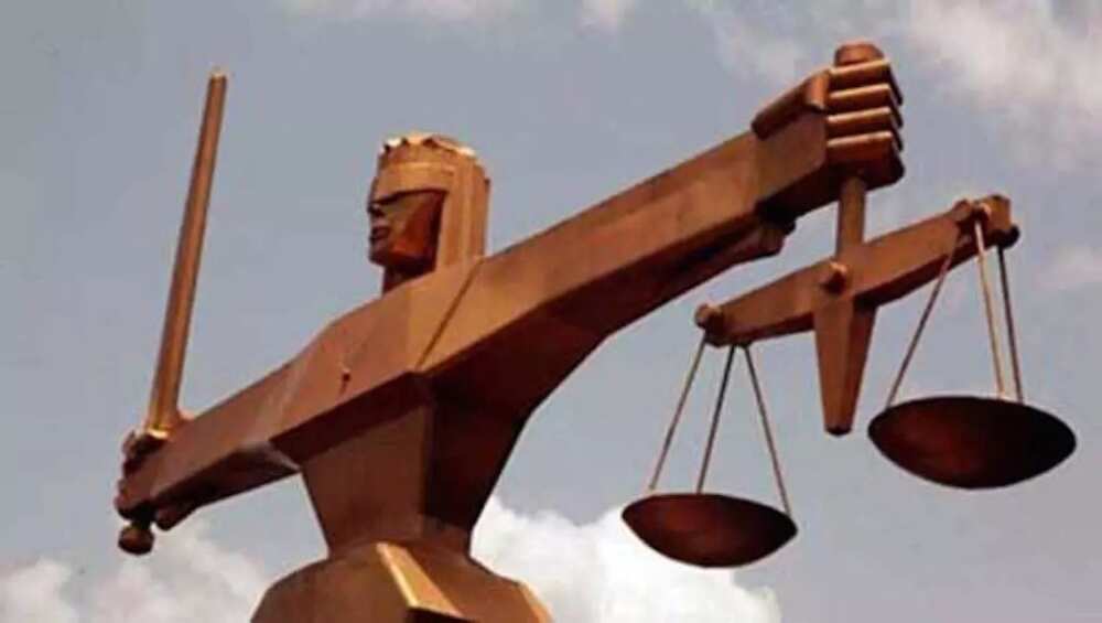 Court moves against police, DSS, over clampdown on peace corps