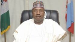 19 LG councils dissolved by Adamawa state government