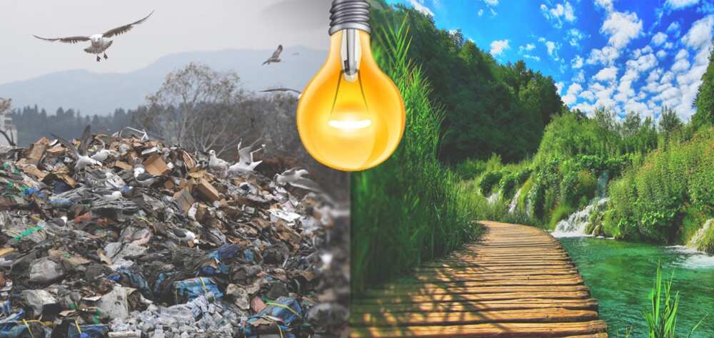 Friends of the Environment Nigeria (NGO) Friends of the Environment Nigeria (NGO)