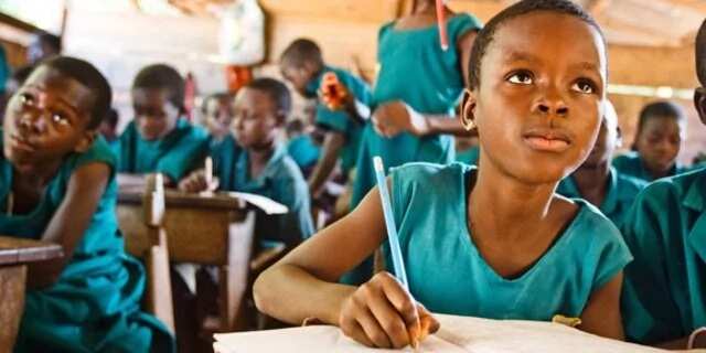 define history of education in nigeria