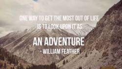 Top adventure journey quotes for your inspiration