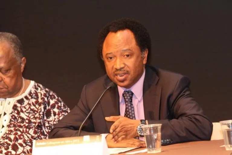 Rusa ginin APC: Gwamna El-Rufai yayi banza inji Shehu Sani