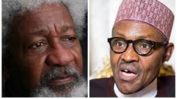 Soyinka damns Buhari, El-Rufai for neglecting Southern Kaduna killings