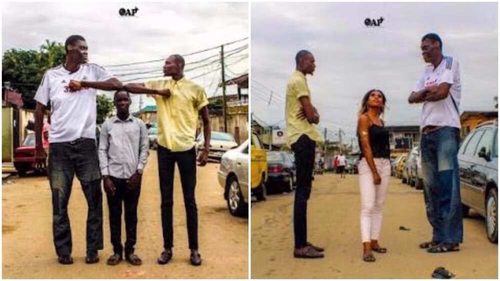 Tallest man Tallest man