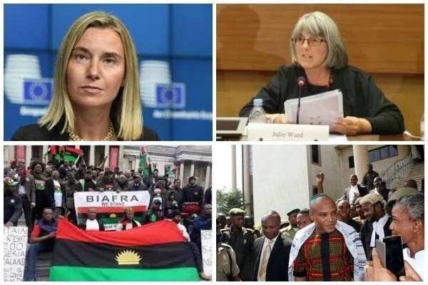 EU ‘closely’ monitors FG/Biafra activities, Nnamdi Kanu’s cases – Official