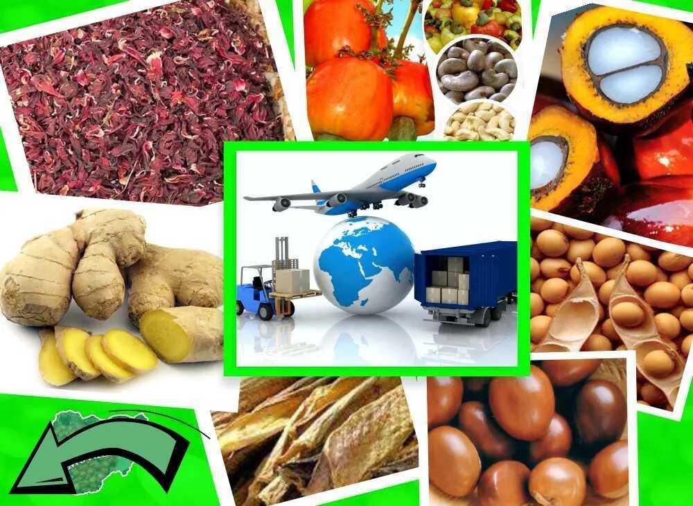 How to export goods from Nigeria to other countries?