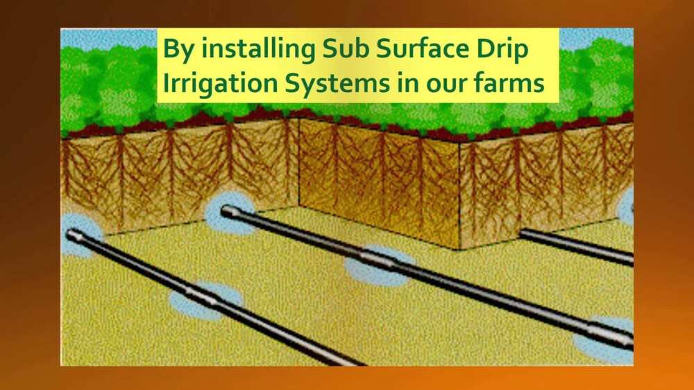 Irrigation farming in Nigeria SUBSURFACE