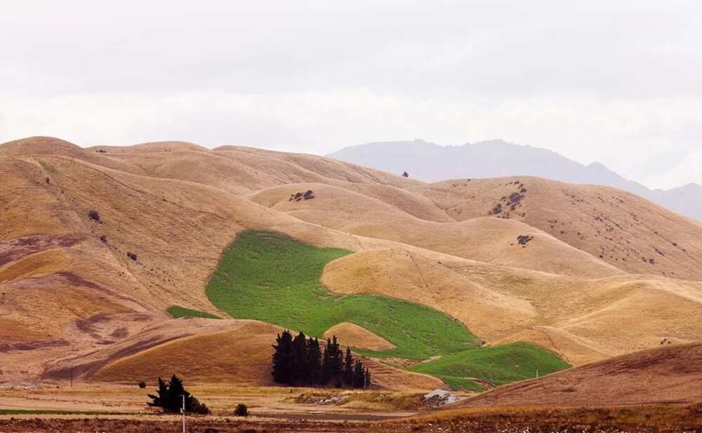 Dry farming field