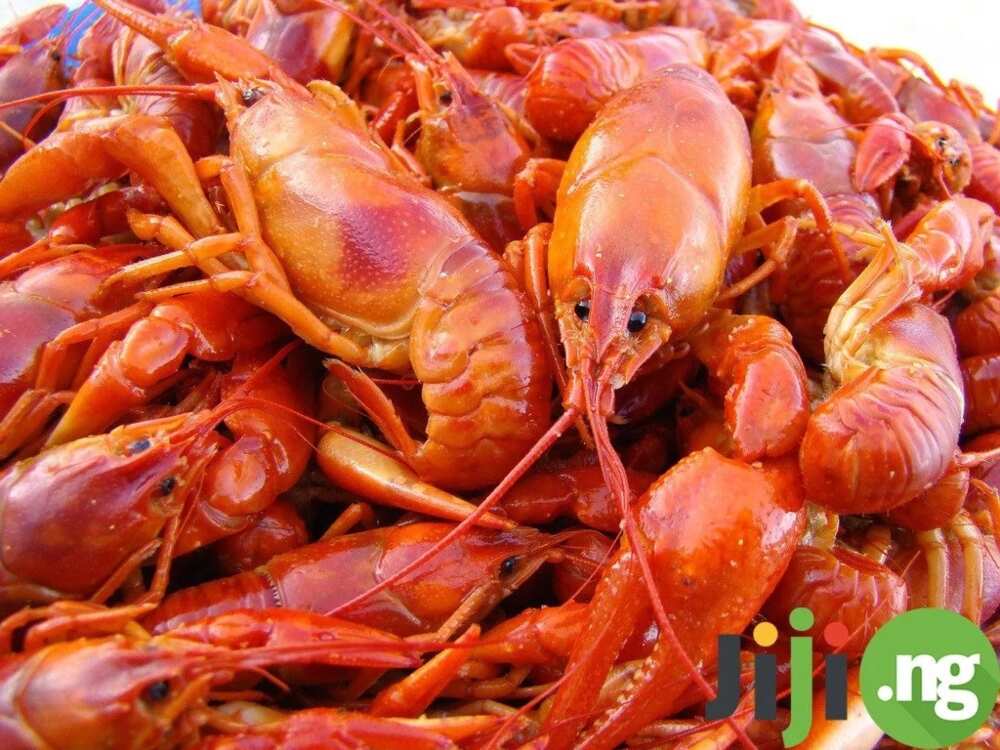 Top 11 easily accessible foods that are great for you Top 11 easily accessible foods that are great for you