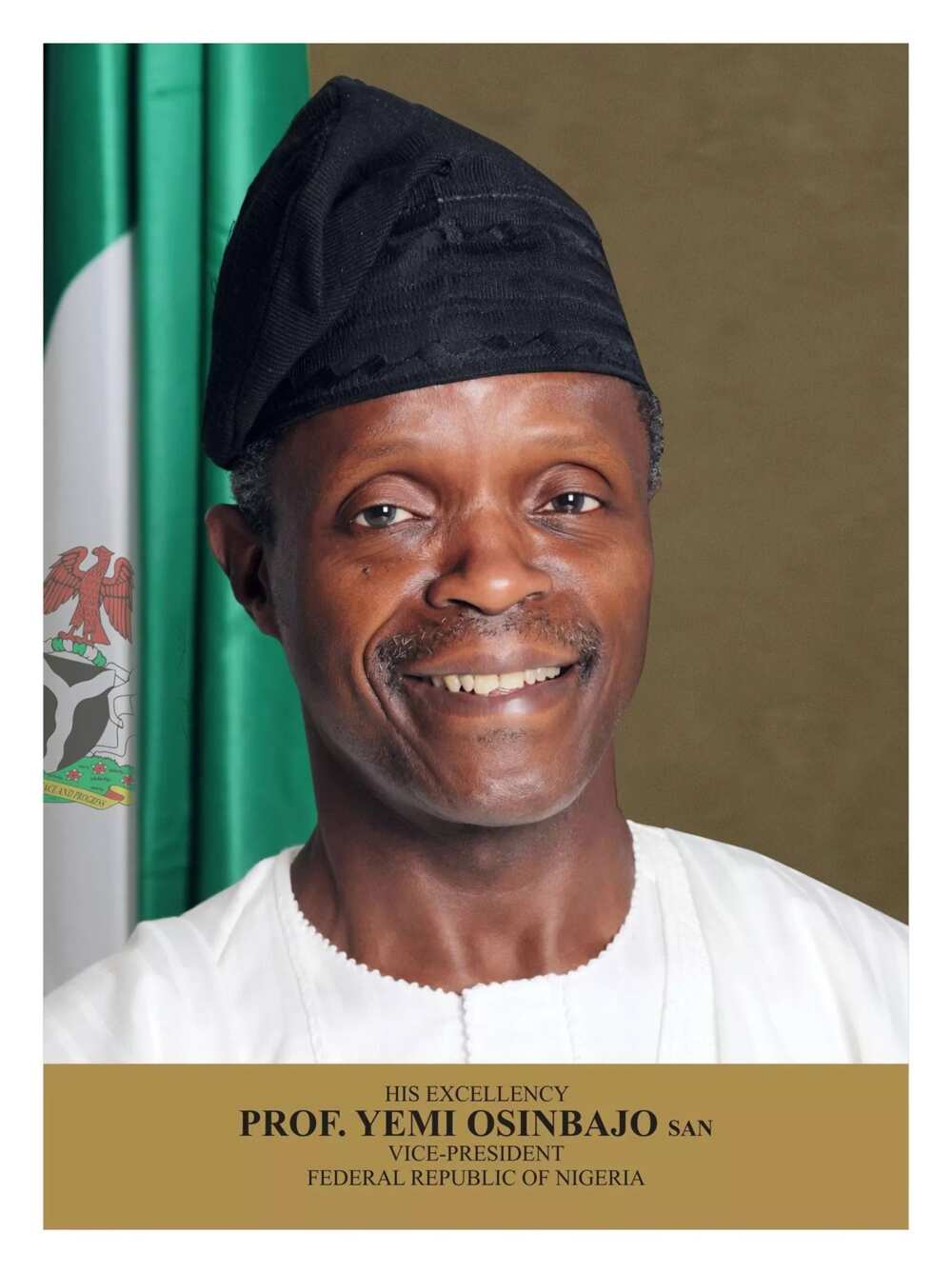 Nigerian Government structure vice president