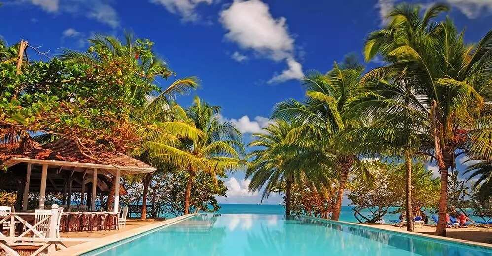 The Coconut Beach The Coconut Beach