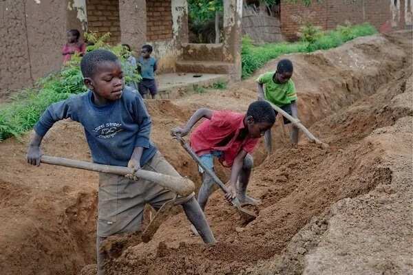 Child labour in Nigeria