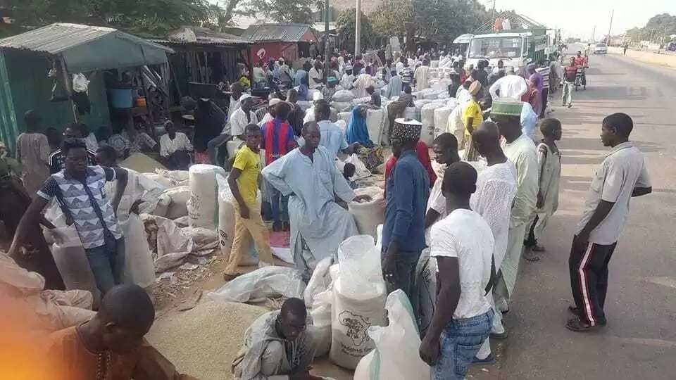 Farashin shinkafa zai fadi zuwa N6000 Farashin shinkafa zai fadi zuwa N6000