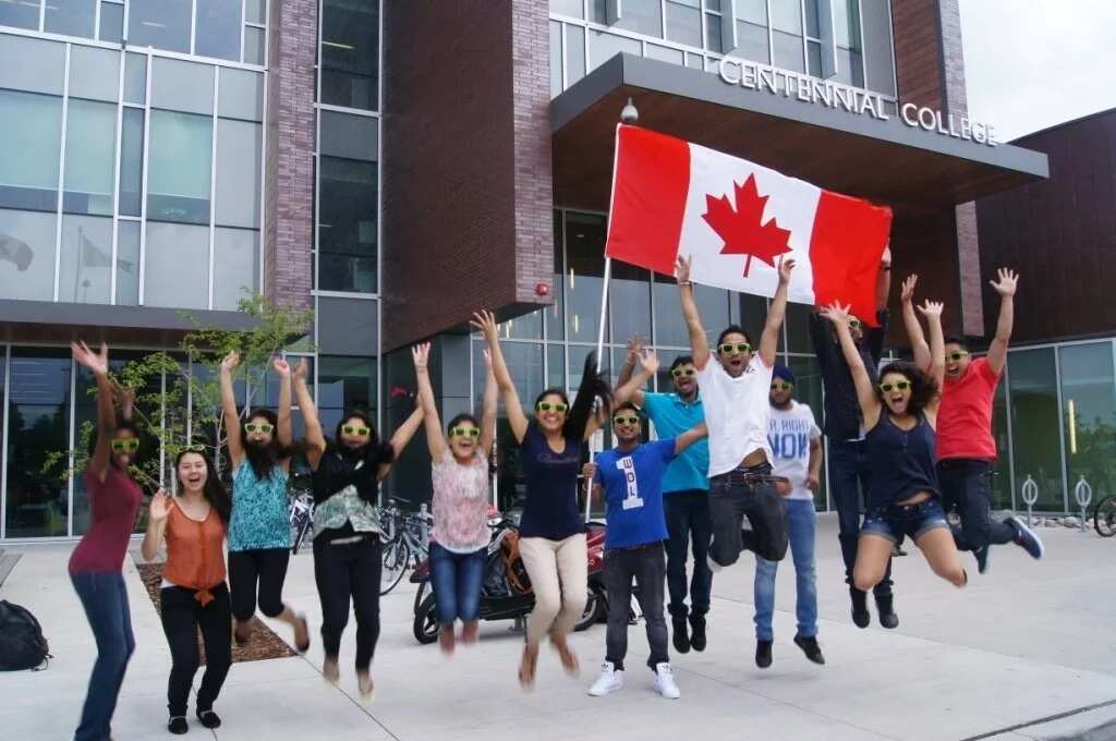 Colleges in Canada for international students without application fee ▷  Legit.ng