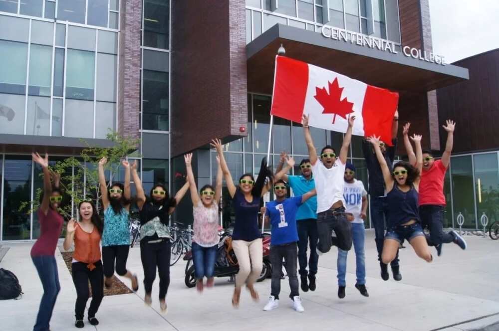 Colleges in Canada for international students without application fee -  Legit.ng