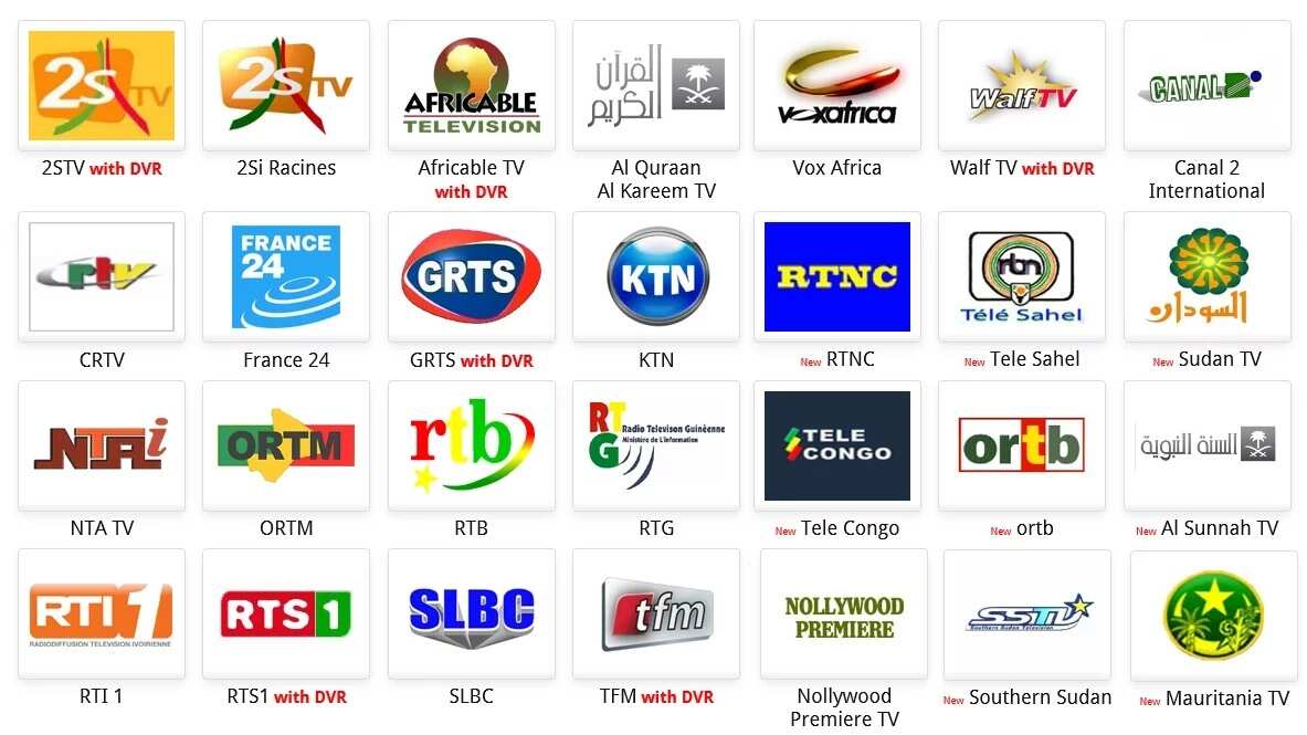 Free To Air Tv Channels - GIFRAN3