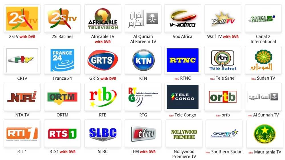 Latest Free to Air Channels and Their Frequencies in Nigeria Legit.ng