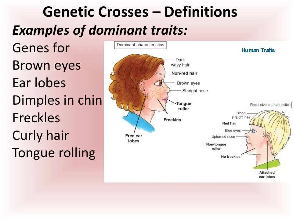 importance-of-family-traits-and-how-they-will-affect-your-children