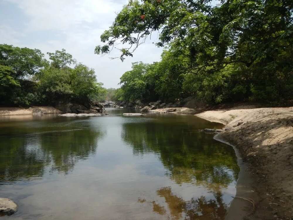 The Gashaki-Gumpti National Park The Gashaki-Gumpti National Park