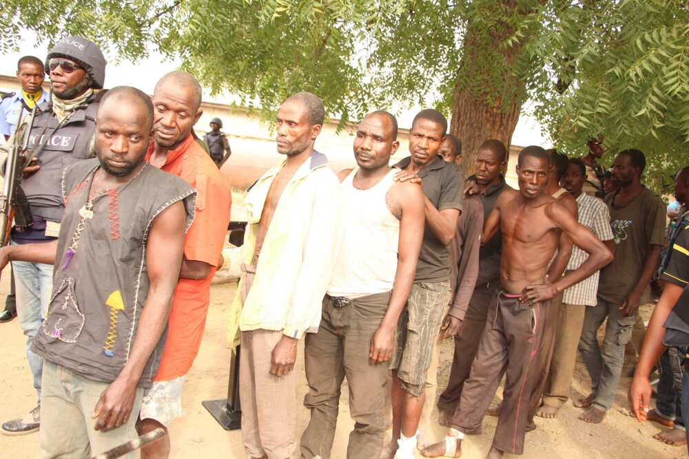 Police parade 13 militia/kidnap for ransom and armed robbery gangs in Minna