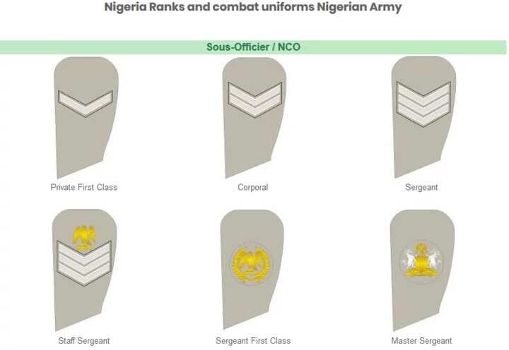 Nigerian Army ranks, symbols, and salaries: Top facts and details ...